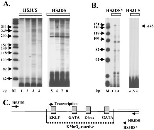 FIG. 8