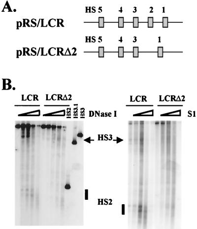 FIG. 6