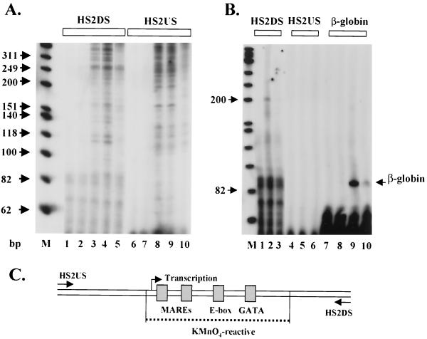 FIG. 7