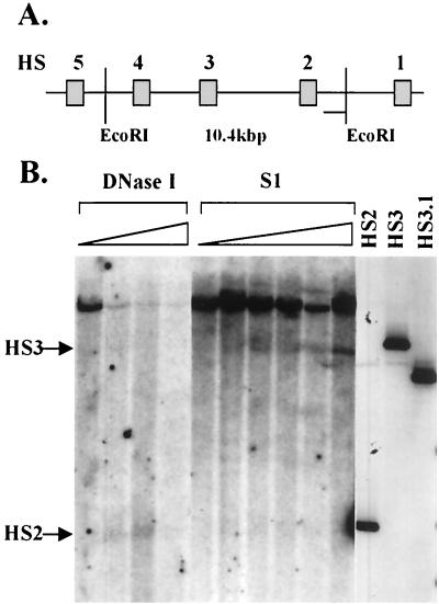 FIG. 5