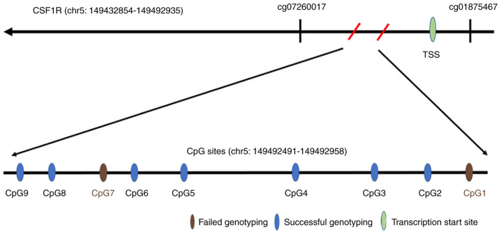 Figure 1.