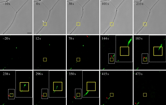 Figure 9.