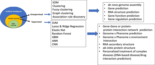 graphic file with name nihms-1770264-f0001.jpg