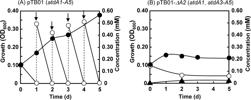 Fig 7