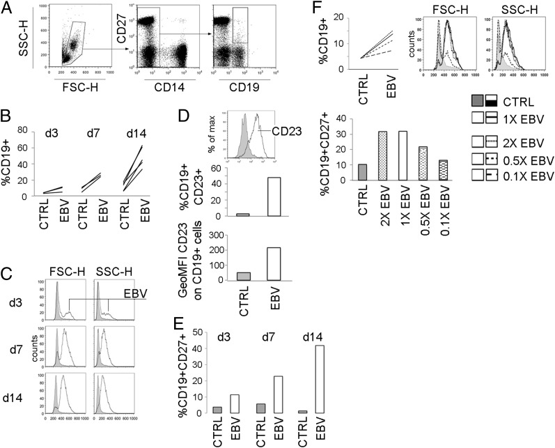 FIGURE 1.