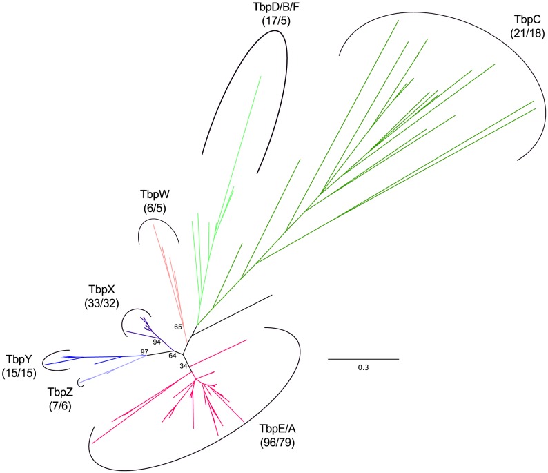 Figure 10