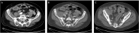 Fig. 5