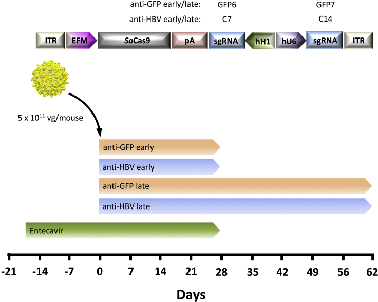 Figure 2