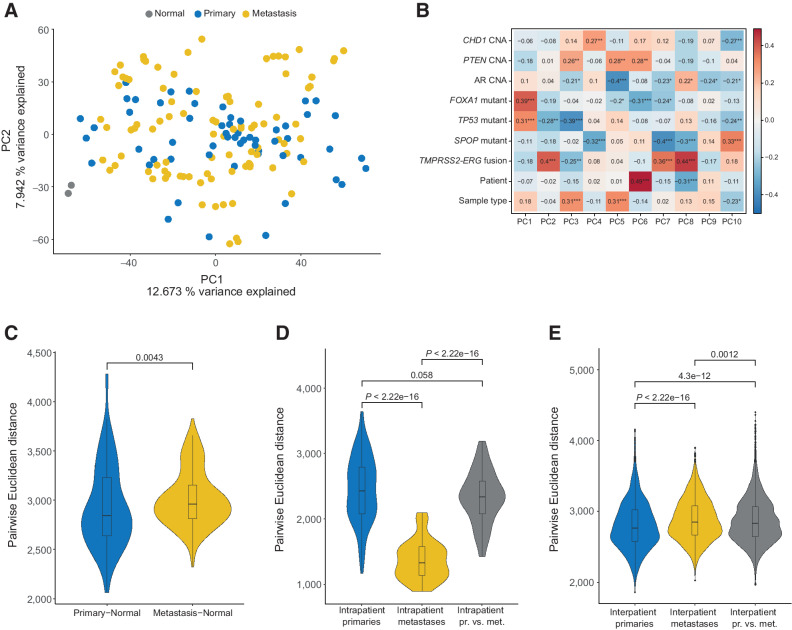 Figure 1. The methylome of brain metastases from prostate cancer is largely inherited from primary tumors and is driven by genomic background. A, PCA using the 1% most variably methylated CpG sites from the Illumina EPIC array (8,038 sites). B, Spearman correlation between eigenvectors of PCs 1–10, with sample type (i.e., primary tumor vs. metastasis), patient, and mutational status (*, P < 0.05; **, P < 0.01; ***, P < 0.001). C, Euclidean distance between primary samples and normal prostate samples and between metastatic and normal samples. D, Euclidean distance between primary samples within each patient, metastatic samples within each patient, and between primary and metastatic samples within each patient. E, As in D, but comparison done between patients. PCBM primary n = 57, PCBM metastasis n = 95, normal prostate n = 2.