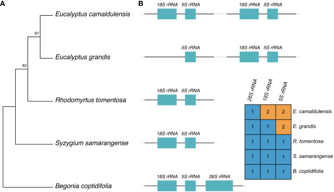 Figure 2