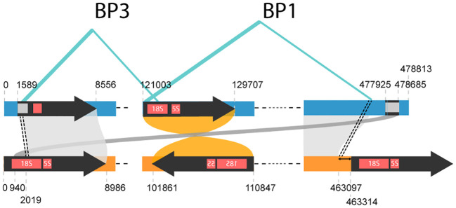 Figure 6