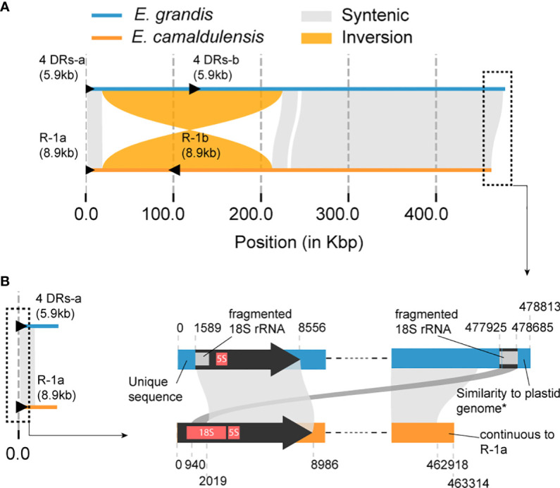 Figure 5