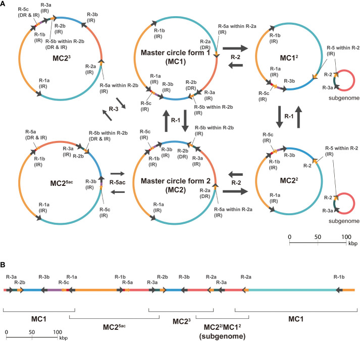 Figure 4