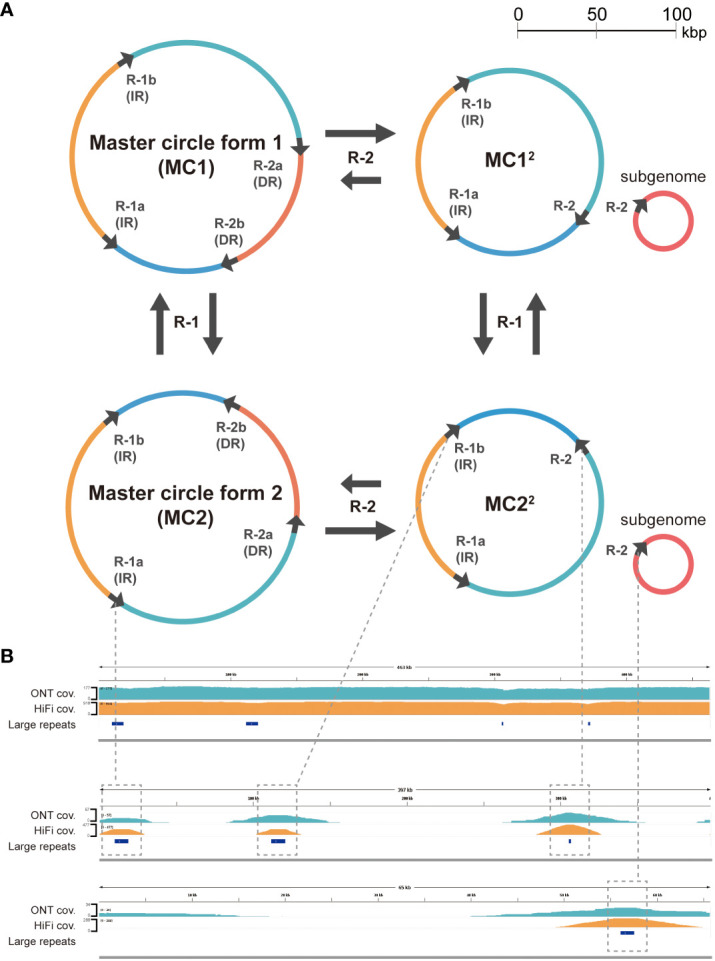 Figure 3