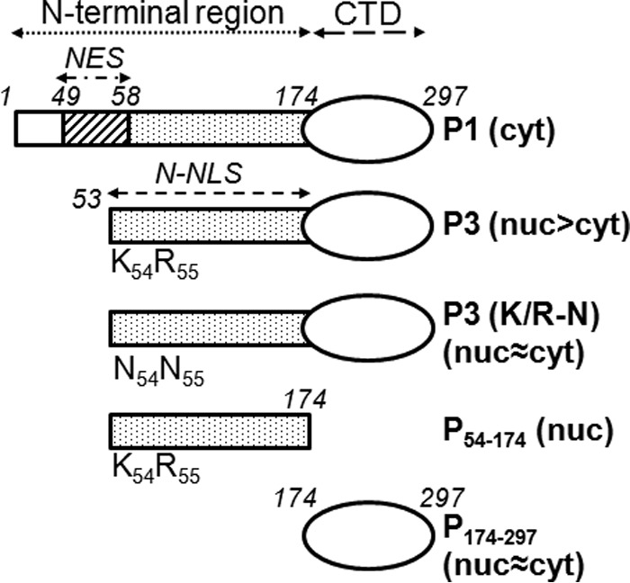 FIG 1