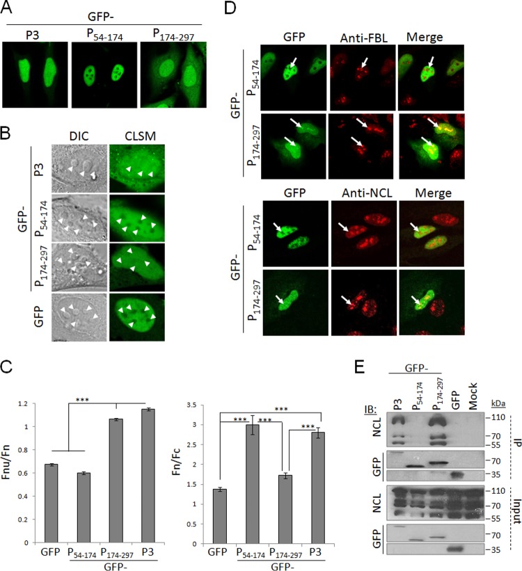 FIG 3