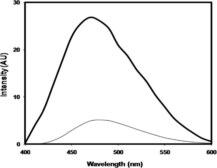 Fig 5