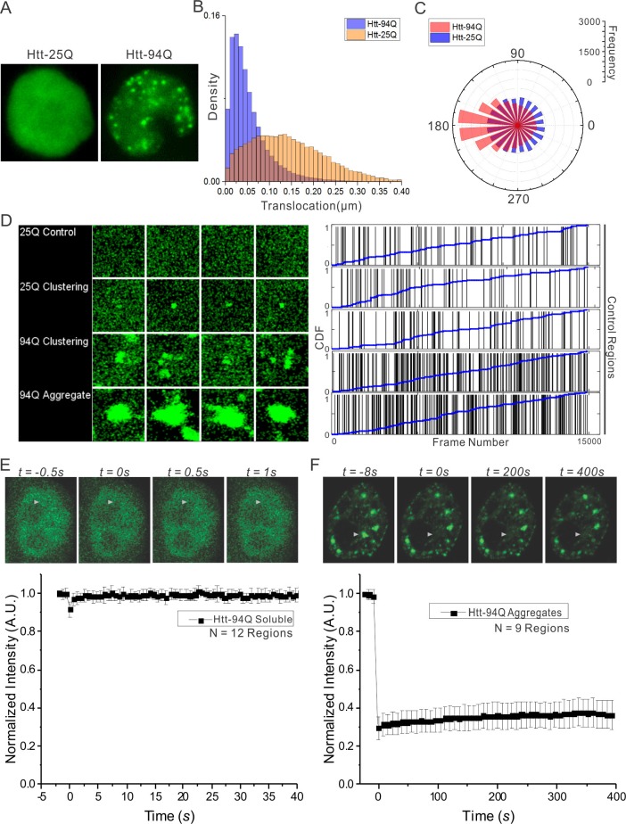 Figure 1—figure supplement 1.