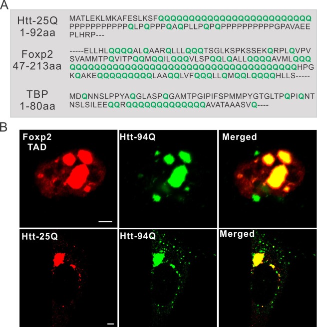 Figure 3—figure supplement 1.