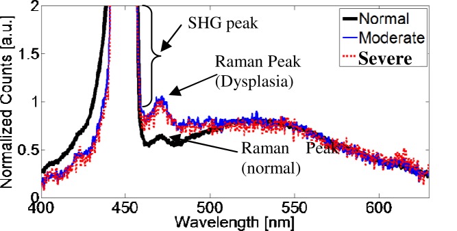 Fig. 8