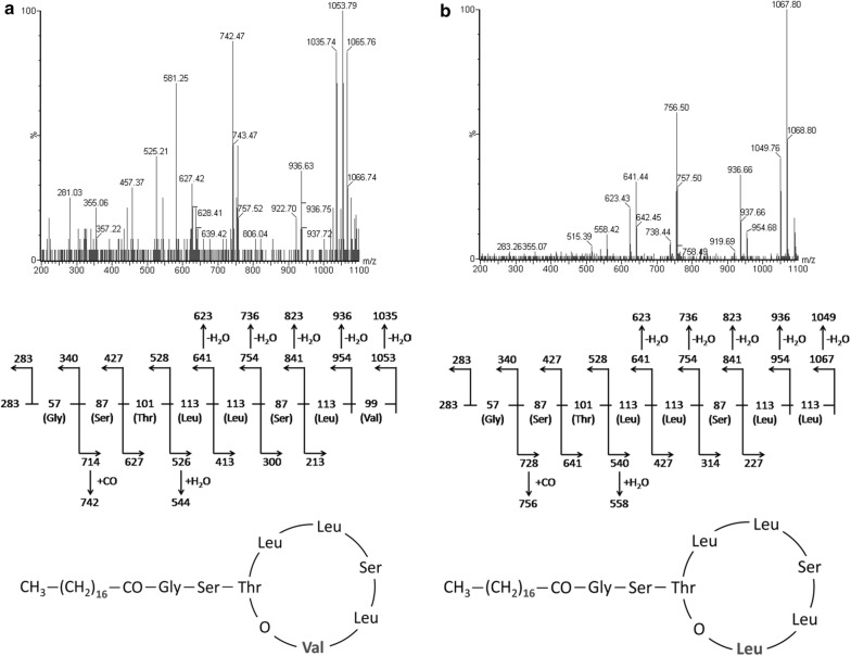 Fig. 6