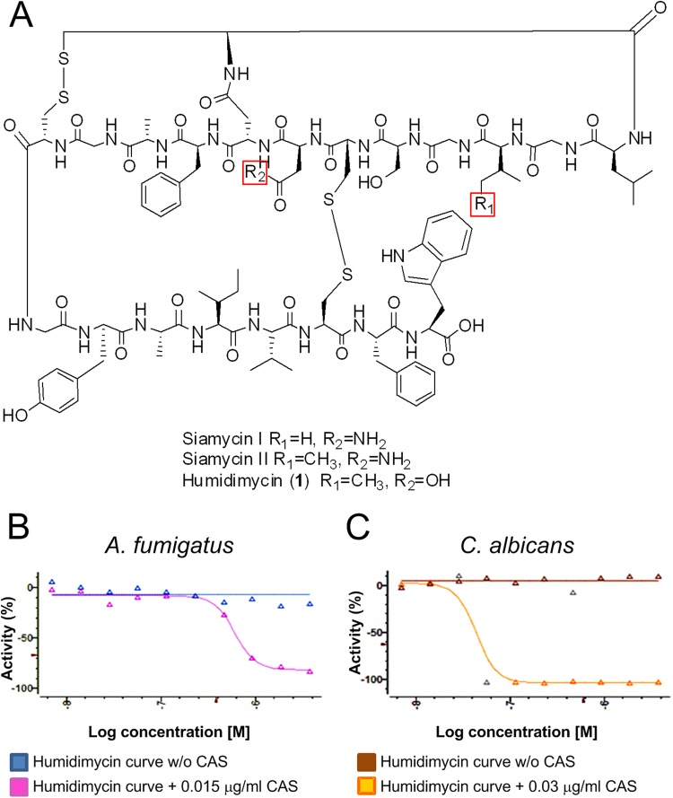 FIG 1