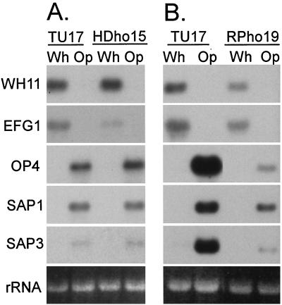 FIG. 6