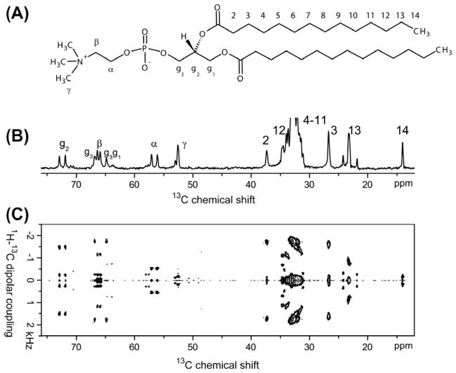 Fig. 10