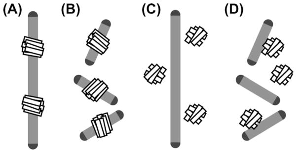 Fig. 12