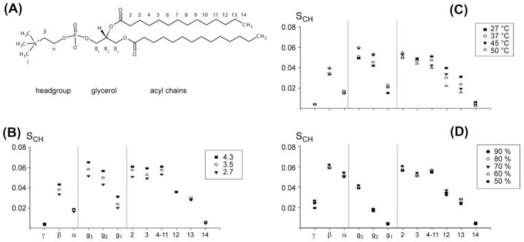 Fig. 11