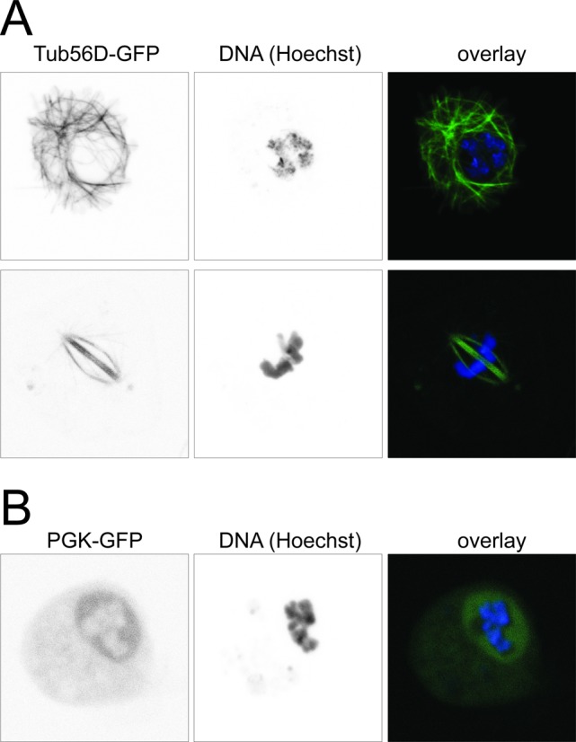 Figure 6.