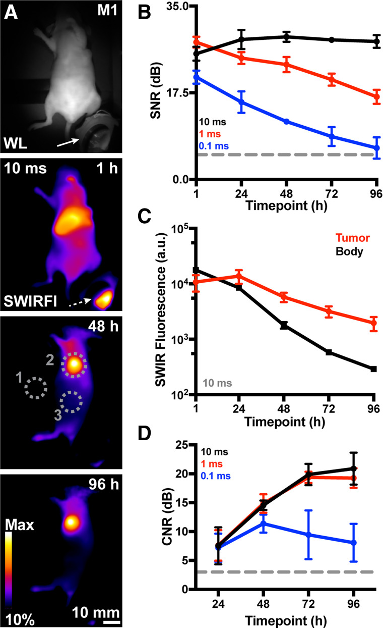 FIGURE 2.