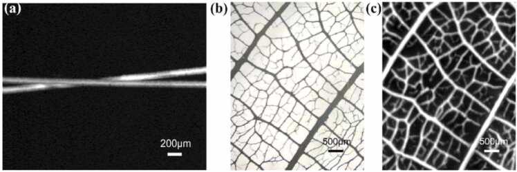 Fig. 9