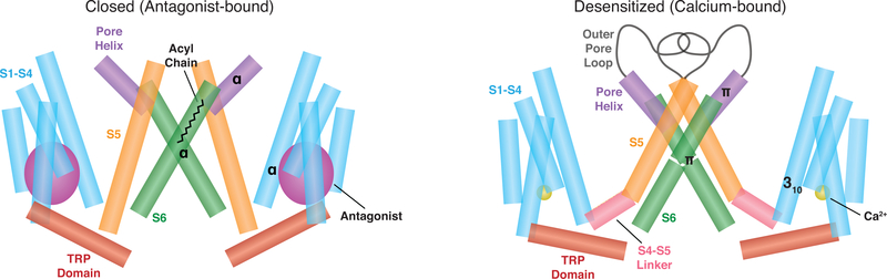 Fig. 6.