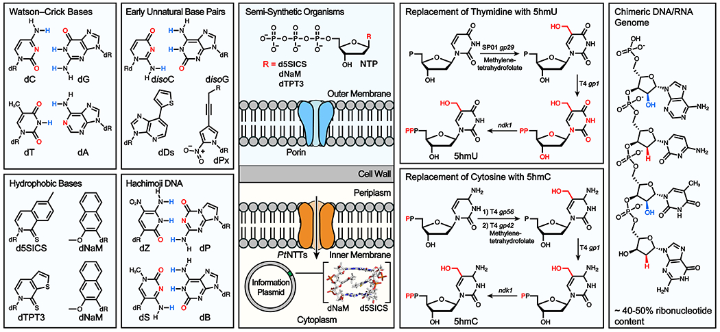 Figure 4.