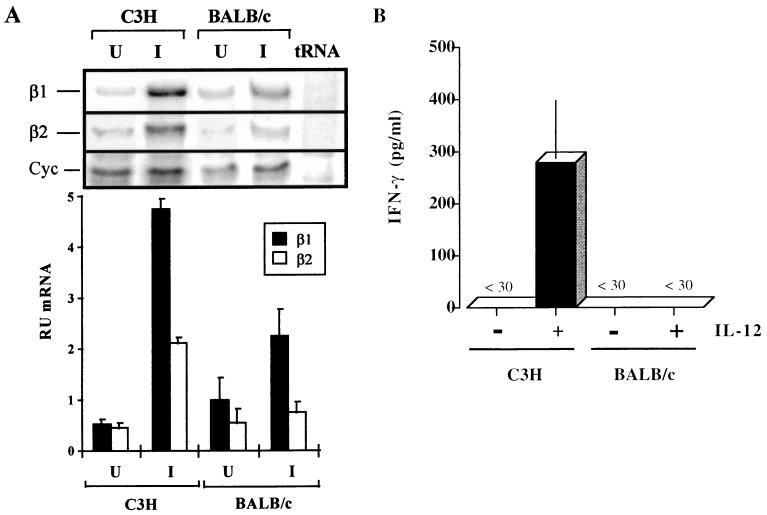 FIG. 7