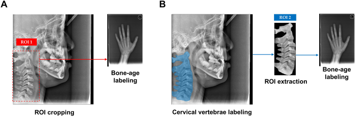 Fig. 1