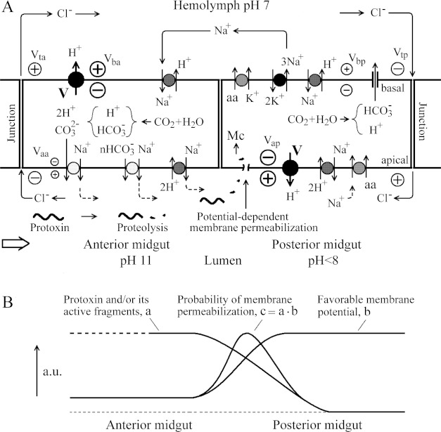 Figure 9