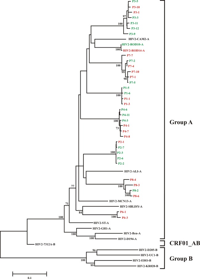 FIG 1