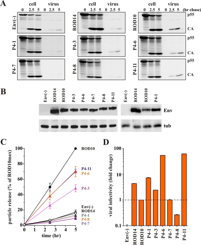 FIG 2