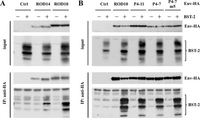 FIG 7