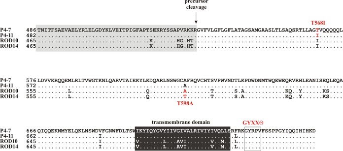 FIG 8