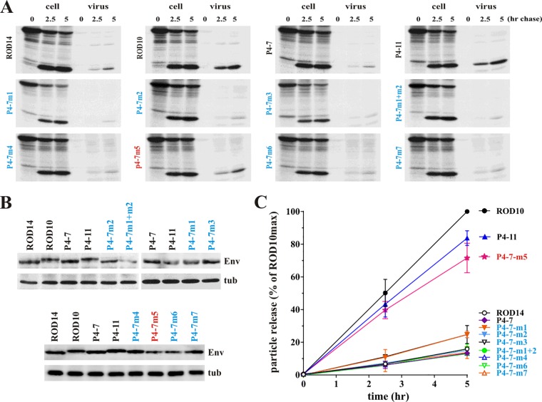 FIG 6