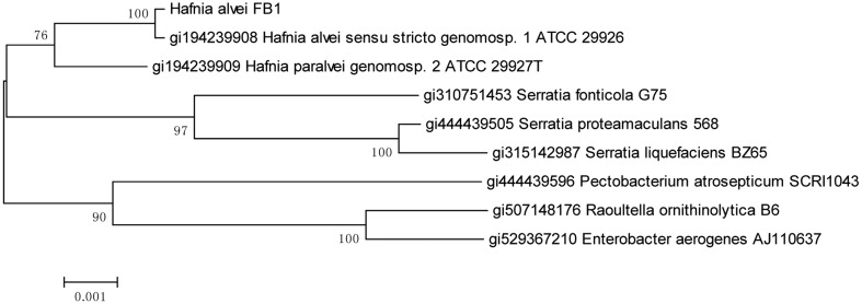 Figure 2.