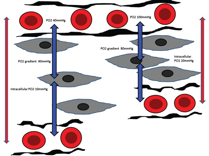 CLC-22564-FIG-0004-c