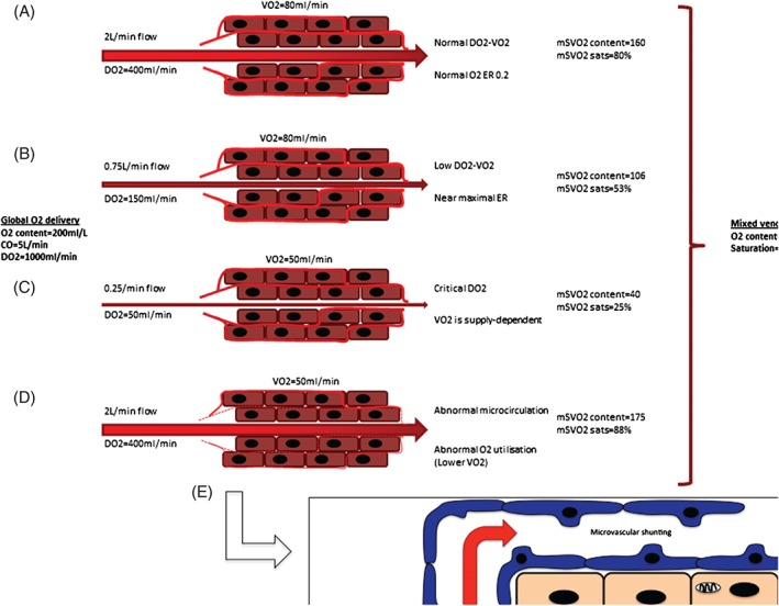 CLC-22564-FIG-0005-c