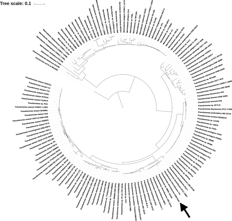 Fig. 6.