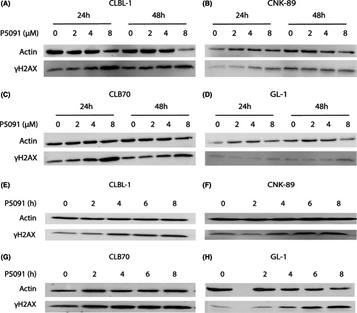 FIGURE 4