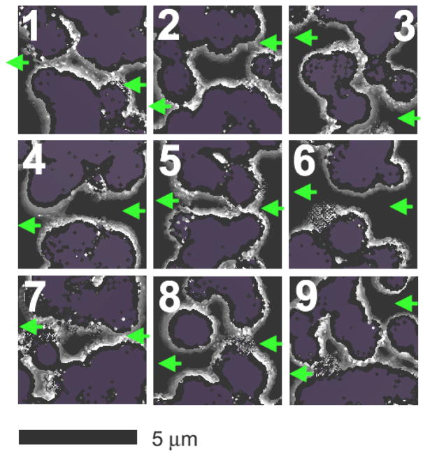 Figure 7