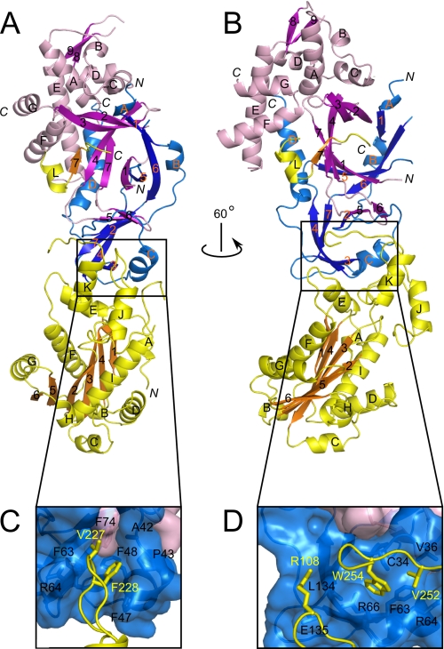 FIGURE 1.